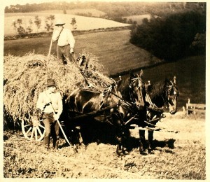 Farabaugh Farm - 1917